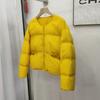 Giacca imbottita con scollo rotondo da donna, modello corto, nuovo stile casual, larga e sottile, moda, calda, giacca in piuma d'anatra bianca