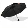 Green Day Print 8?Ribs Automatic Umbrella Wind Resistant Lightweight Folding Umbrella For Outdoor Travel