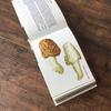 [USED] Foreign books, mushroom encyclopedia, Czech vintage books, junk journal