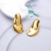 European and American Ins Landscape Surface Stainless Steel Exaggerated Earrings Earrings Niche High-grade Retro Titanium Steel Studs