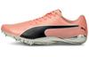EvoSpeed Electric 10 'Elektro Peach' 194475-02