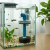 Detachable Fish Tank Filter Transparent Bacterial Culture Filter  Aquariums