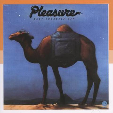 

CD PLEASURE - Dust Yourself Off CDBGPM238 BGP 2011 UK Soul/Funk