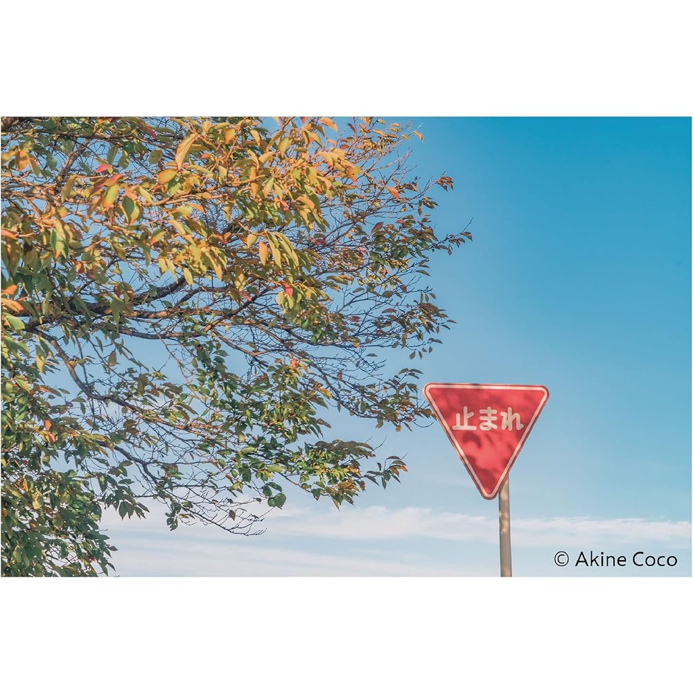 Kenko Soft Filter Nostal Tone Orange 72mm for Soft Effect and Color Enhancement, Made In Japan 006061