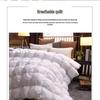 ShuZheng Elegant All-Season Polyester Fiber Quilt