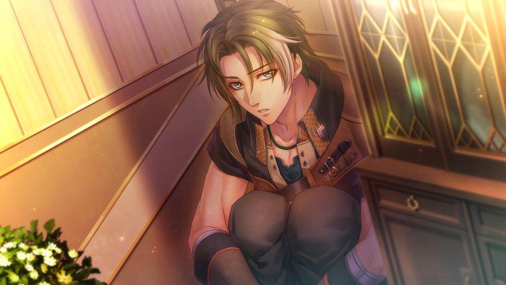 Beast and Princess (Moujuutachi to Ohimesama) Limited Edition - PS Vita - Model VLJM-35368