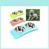 Premium Quality Double Food Water Pet Feeding Bowl For Puppies And Kittens With Non-slip Design