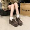 Retro lace-up platform women's spring new small trendy and frosted leather shoes