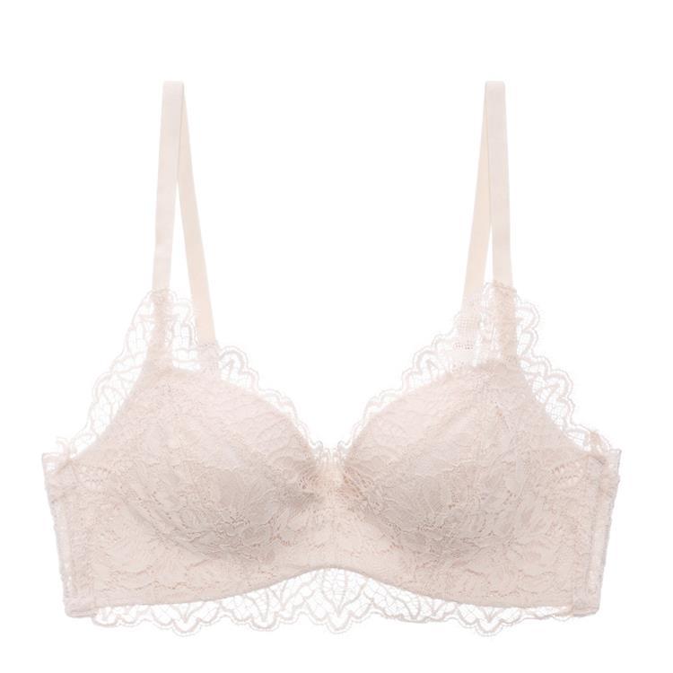 Sexy Pure Lace Small Breasts Gather and Lift the Chest To Prevent Sagging, Not Empty Cup, No Steel Ring Bra Set.