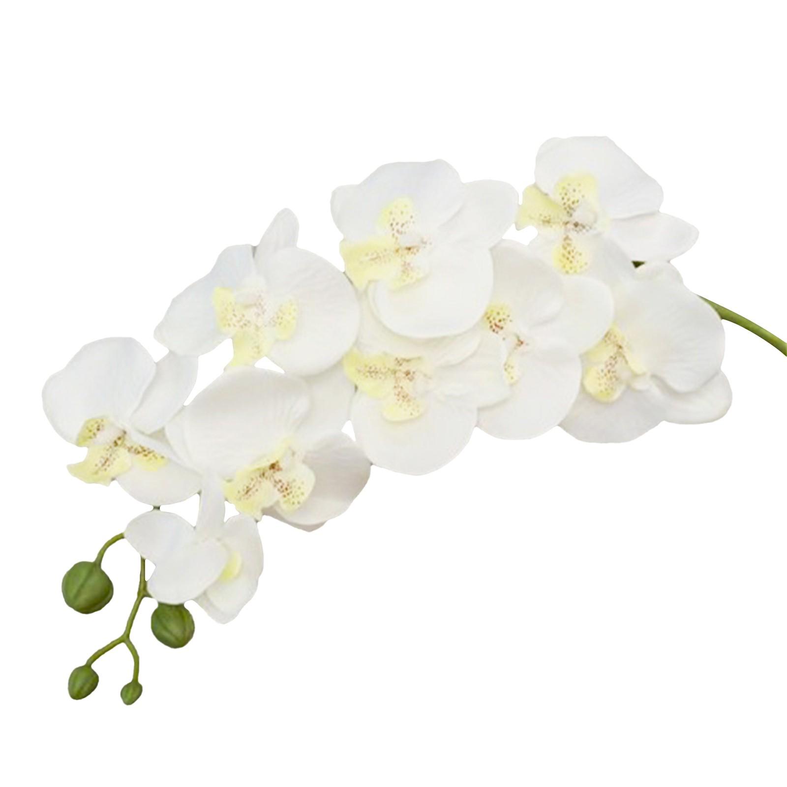 

69 см искусственные ветки цветов фаленопсиса настоящие искусственные стебли орхидеи для цветочной композиции свадебная вечеринка украшение дома One Size белый