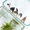 10Pcs Animal Cat Fish Tank Decoration Landscaping Hangable Decors Landscape Aquatic Pet Fishtank Ornament Desktop Accessories