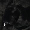 Gap Fake Fur Coat XXS Black Women Used