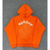 Felpa Sp5der Oversize Spessa in Pile con Stampa a Foglia Ragnatela Design Uomo Inverno Casual