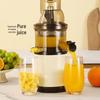 Automatic Multifunctional Juicer with Large Caliber and Pulp Separation