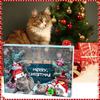 New Cat Intelligent Balls Advent Calendar 2025 Christmas Countdown Christmas Blind Box Teasing Interact Cat Toys Pet Supplies