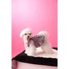 Dog Dresses for Small Dogs Party Sequins Velvet Dress for Dogs Girl Puppy Birthday Wedding Christmas Outfit Soft Pet Apparel Cute Chihuahua