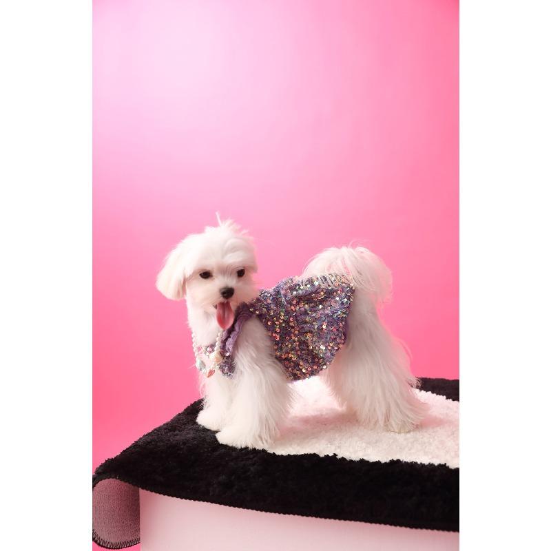 Dog Dresses for Small Dogs Party Sequins Velvet Dress for Dogs Girl Puppy Birthday Wedding Christmas Outfit Soft Pet Apparel Cute Chihuahua