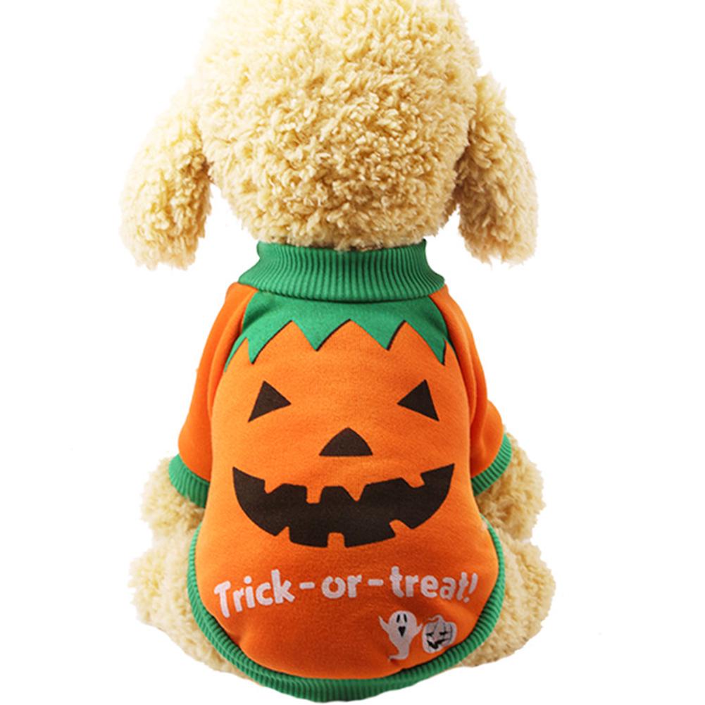 pumpkin dog sweater