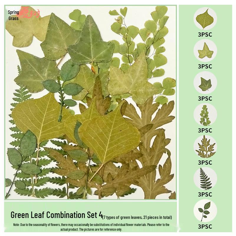 Handmade Pressed Flower Bookmark and Epoxy Sticker Pack with Real Leaf and Plant Specimens for DIY Face Makeup.