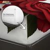 3pcs Valentine's Day Red Rose Print Coreless Bed Sheet Set Multi Size Soft Bedcover Bedroom Bedding Decoration Machine Washable