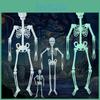 Spooky Luminous Skeleton For Halloween Décor