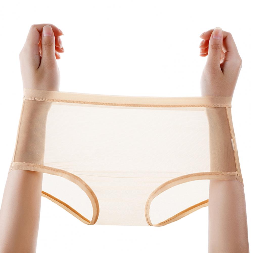 Sexy Transparent Panties for Women Plus Size See Through Mesh Sheer Underwear Seamless Mid Rise Thin Briefs