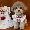 Giyim ve ayakkabı – Köpek elbiseleri