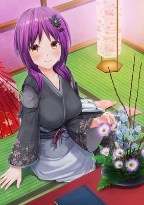 Custom Order Made 3D2 Morbidly Dedicated Yamato Nadeshiko Character Addition Transfer Pack &