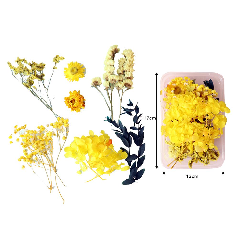 Naturalne kolorowe suszone kwiaty Diy rzemiosło pakiet materiałów na świeca zapachowa ręcznie girlanda ramka na zdjęcia Scrapbooking tworzenie kartek