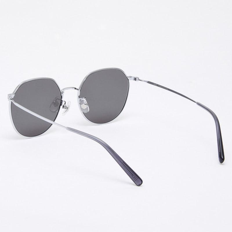 Aloeyewear [Air Titanium] AL2501 1111G Air Titanium Panto Silver Sunglasses