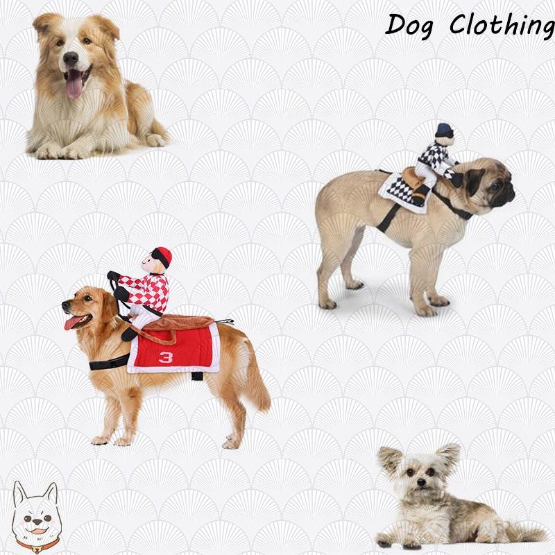Factory Direct Horse Riding Costume For Pets Cosplay Knight Costume For Dogs