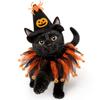 Halloweenský klobouk a síťovaný obojek pro domácí mazlíčky Kočky Psi Kostýmové doplňky
