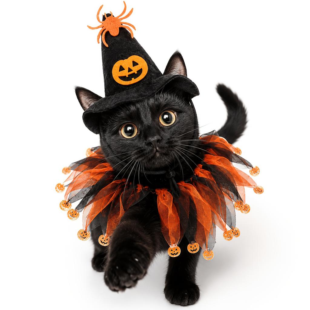 Set Cappello e Collare in Rete per Animali Domestici di Halloween per Gatti Cani Accessori per Costumi
