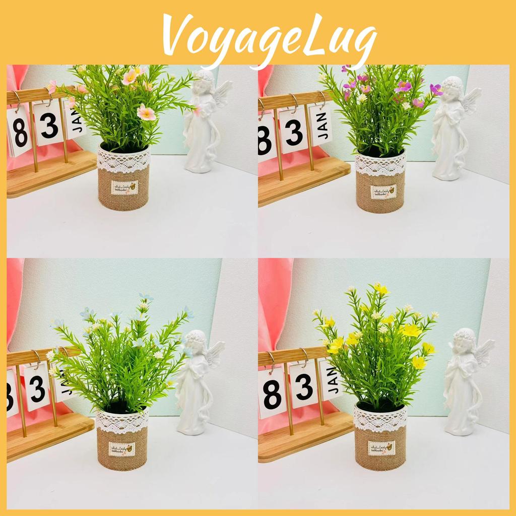 Bellis Potted Perennis Plant Linen Flower Pot For Hotel Dining Room Decoration