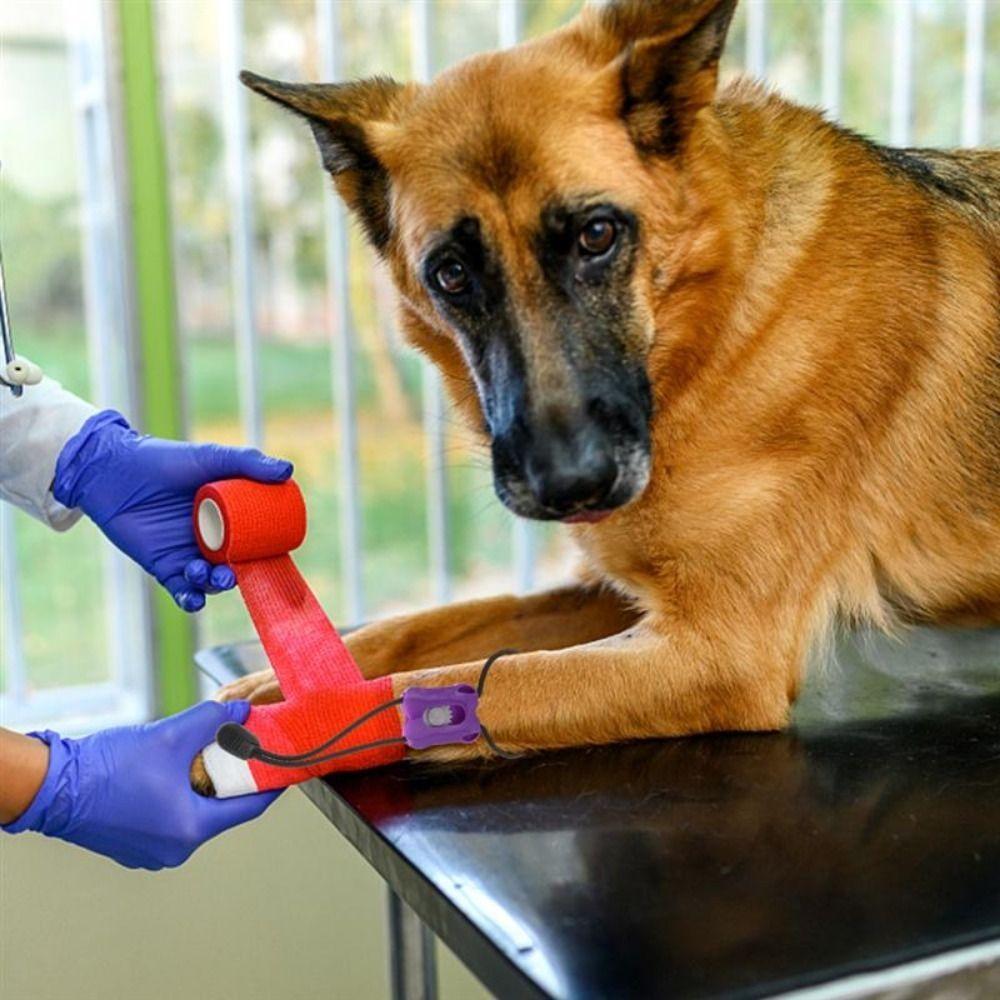 Quick Release Pet Accessories Animal Tourniquet Emergency Tourniquet Animal Pressure Straps