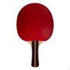 Table Tennis Racket - SOFTEE - P200 - Wood and Rubber - Mixed - 25.5x15x1cm