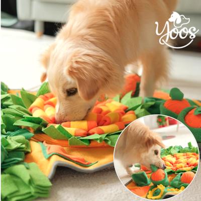 Dog Nose Work Toy Carrot Field Nose Work Mat Separation Anxiety, Single Item, Single Item