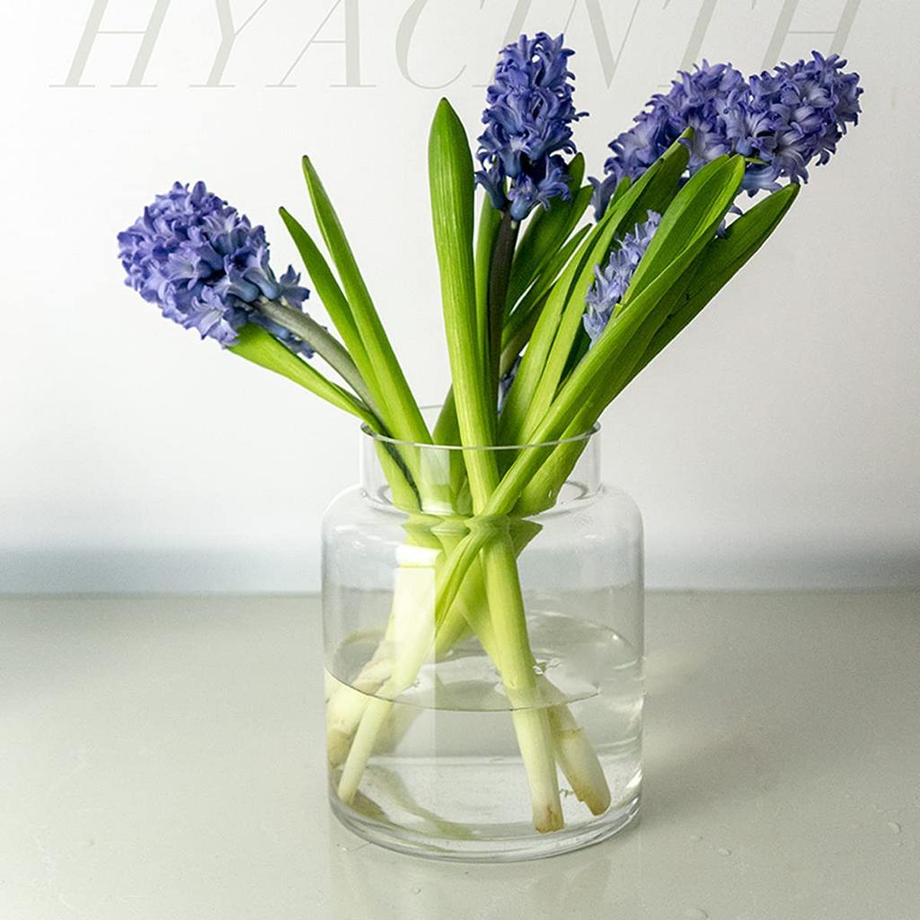Glass Vase, Transparent, Large Vase, Flower Base, Glass Base, Glass Bottle, Arrangement, Interior, Hydroponics, Ikebana, Artificial Flowers, Stylish,
