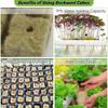 72 Set 1 Inch Rockwool Cubes With 2 Inch Net Pots For Hydroponics Growing System Good Water Absorption Hydroponics Mesh Net Cup