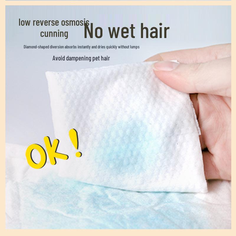 Plenky pro ženy: Menstruační kalhotky pro štěňata a fyziologické potřeby pro domácí mazlíčky