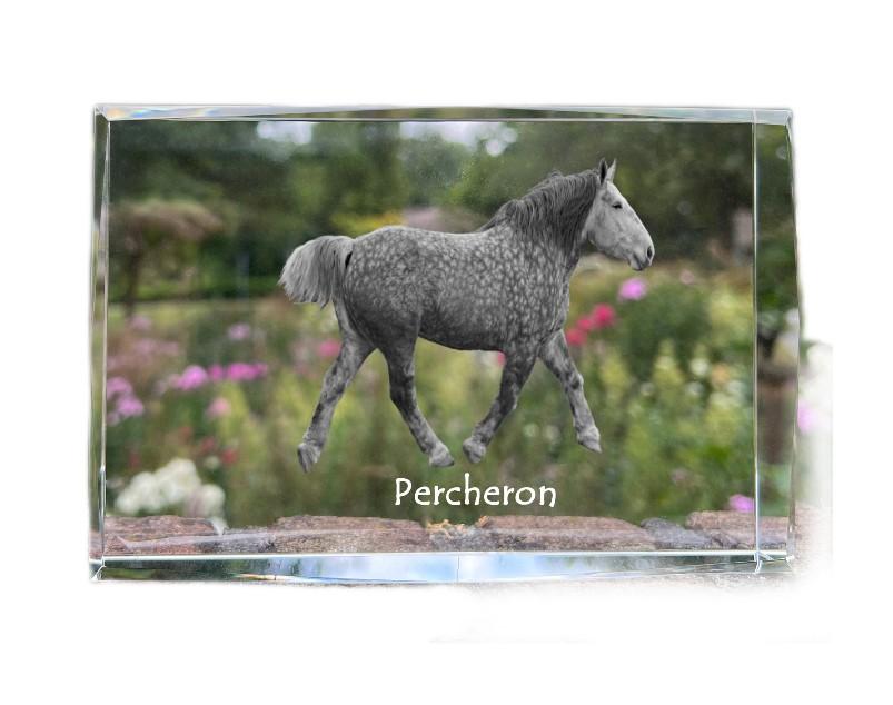 

Percheron - crystal with a picture of a horse, photo in glass, modern exhibition of Art-Dog brand photo прозорий