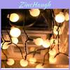 Iluminación – Luces de Navidad y otra iluminación
