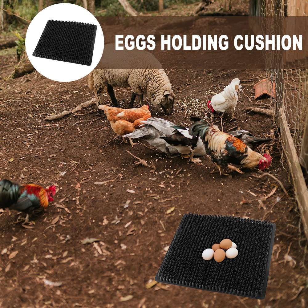 Plastic Chicken Bedding Mats Washable Egg Laying Mats Hen Nest Box Pads  Cages Accessories