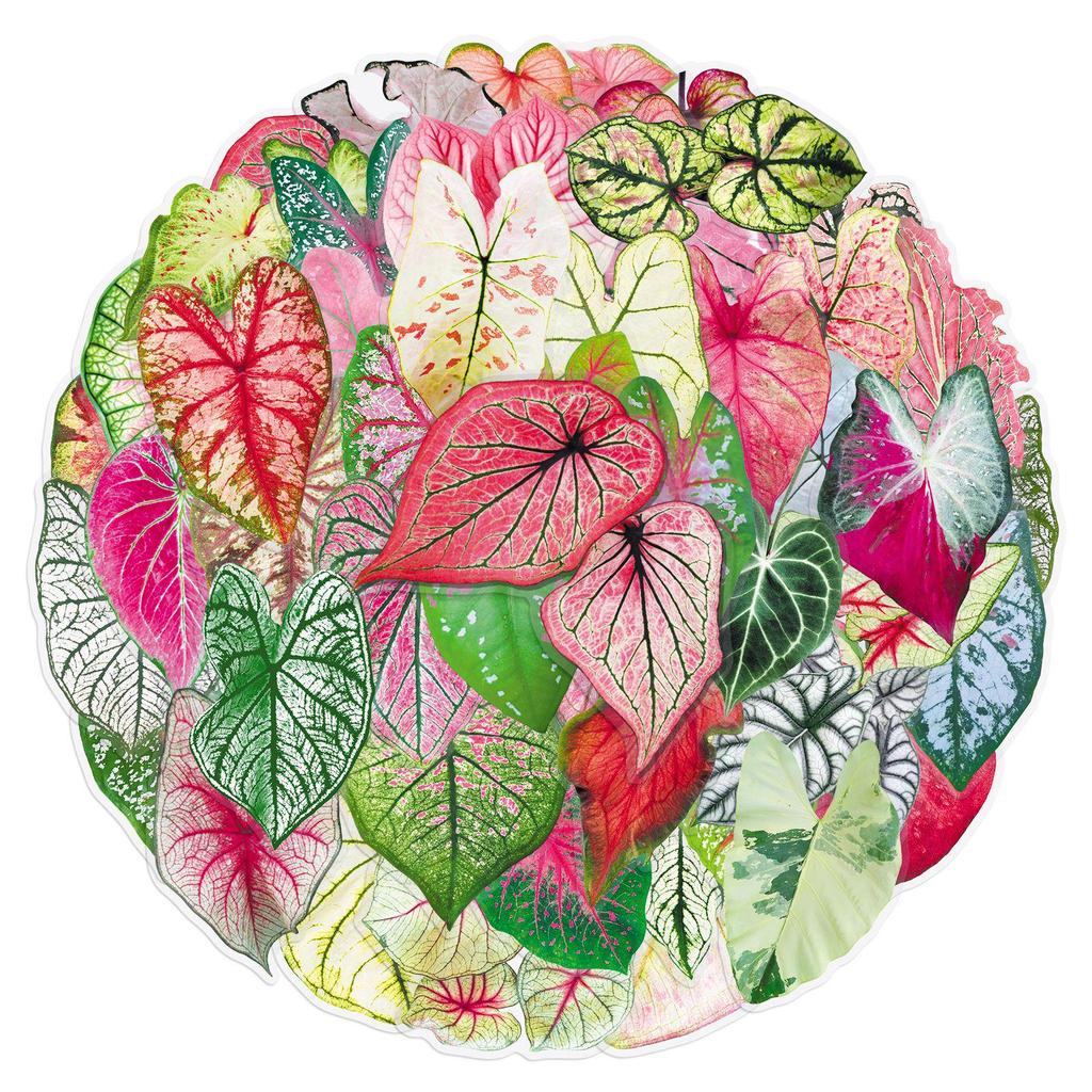 50 Colorful Taro Transparent Plant Stickers: Realistic, Waterproof, DIY Stationery for Potted Plants, Fridges, and Milk Tea Cups