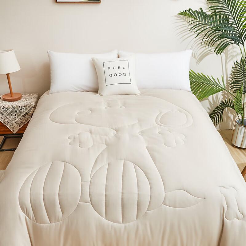 Snoopy Four Seasons Quilt