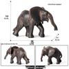 Children's Elephant Model: Wildlife African, Asian, Mammoth & Gomphothere Zoo Cognitive Toy