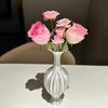 Centerpiece Vases Nordic Minimalism Flowerpot Luxury Aesthetic Creative Flowerpots Desktop Living Room Decoration Accessories