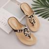 2025 Summer New Flip-flops Women's Fashion Outdoor Korean Version Soft Bottom Pregnant Women's Beach Students Slippers Women's Wear