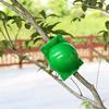 5PCS/Pack Green Plant Rooting Box High Pressure Propagation Ball Reusable Plastic Breeding Container Nursery Garden Supplies ZYF