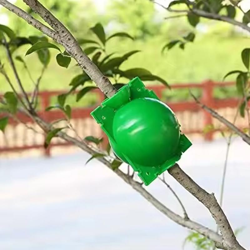5PCS/Pack Green Plant Rooting Box High Pressure Propagation Ball Reusable Plastic Breeding Container Nursery Garden Supplies ZYF